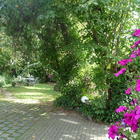 Biozertifiziertes Hotel Hoepfigheimer Hof Mit Wein-Shop Steinheim an der Murr 외부 사진