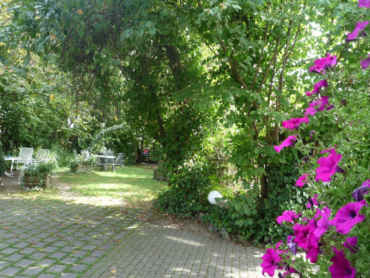 Biozertifiziertes Hotel Hoepfigheimer Hof Mit Wein-Shop Steinheim an der Murr 외부 사진